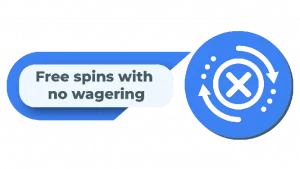 no wager free spins